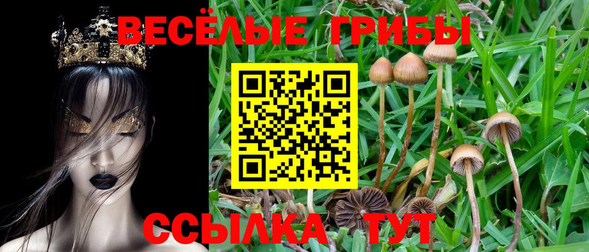 Псилоцибиновые грибы ЛСД Соль-Илецк
